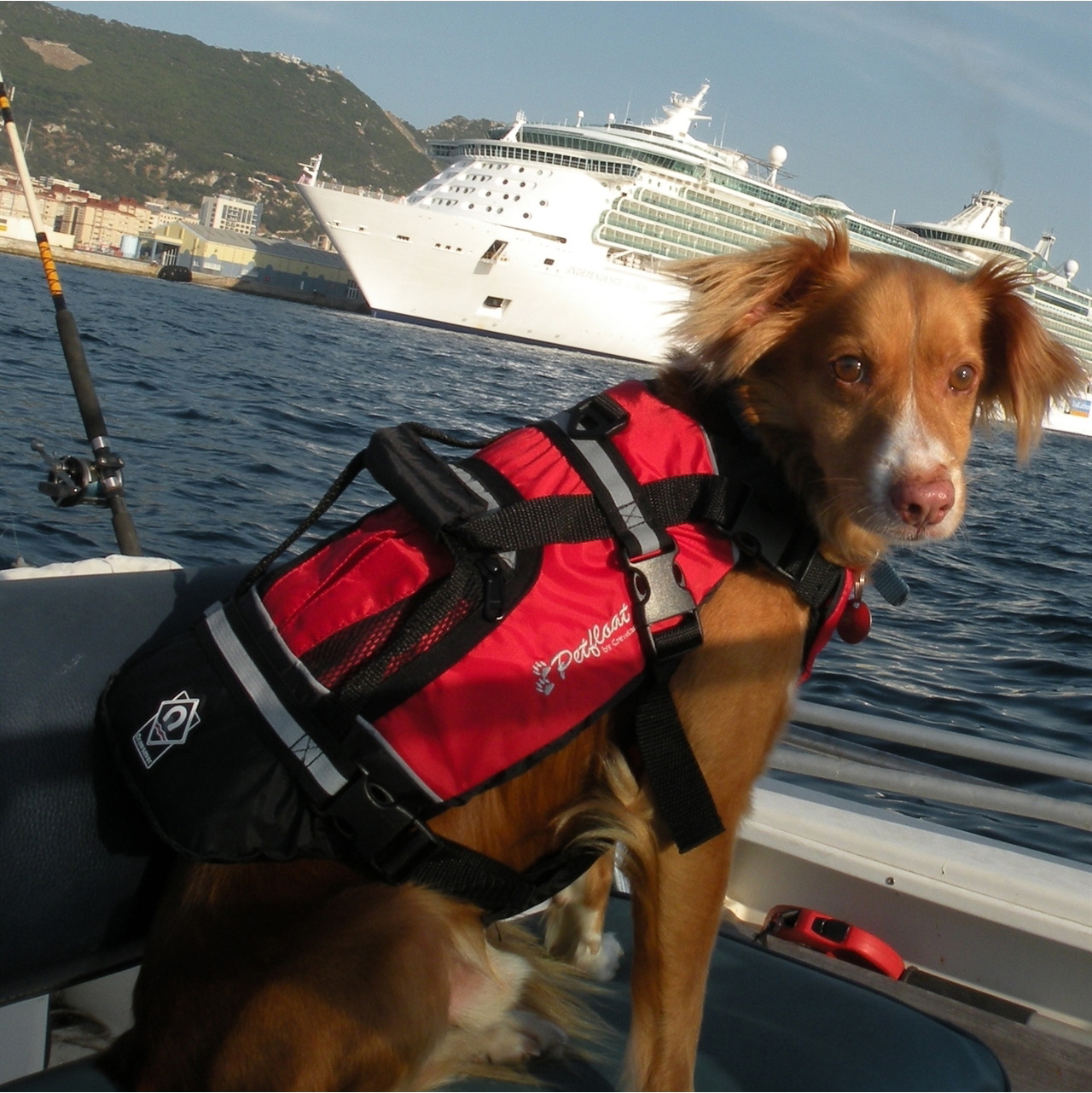 2026 Crewsaver Pet Flutuador De Colete Salva-vidas Para Cães E Gatos 2370 - Red