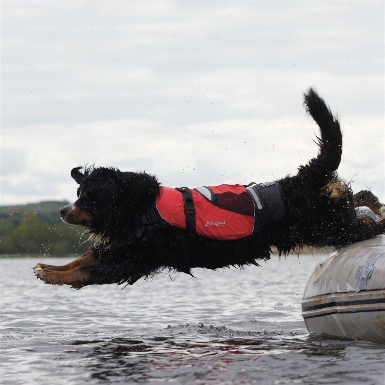 2026 Crewsaver Pet Flutuador De Colete Salva-vidas Para Cães E Gatos 2370 - Red