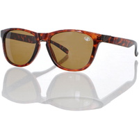 Wayfarer Sunglasses in Tortoise