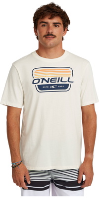 Camiseta Masculina Com Estampado « ONeill » 2026 2850351 - Snow White