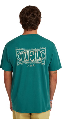 2026 ONeill Homem Logotipo Da Caixa T-Shirt 2850353 - Botanical Heat
