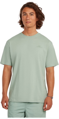 2026 O'Neill Homem Logotipo Pequeno T-Shirt 2850371 - Marble Arch