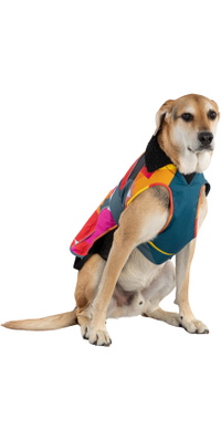 2026 Dryrobe Dog Coat V3DRDC - Abstract